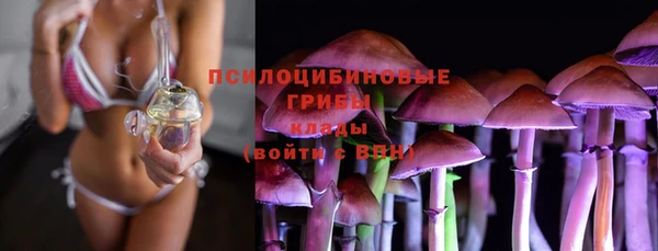 прущая мука Алзамай