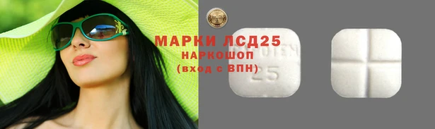 прущие грибы Армянск
