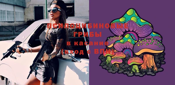 прущая мука Арсеньев