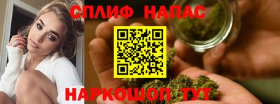 стафф Дубна