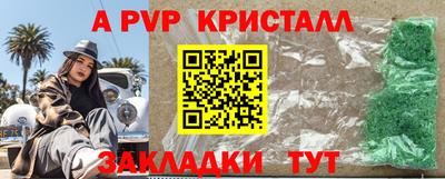стафф Дубна